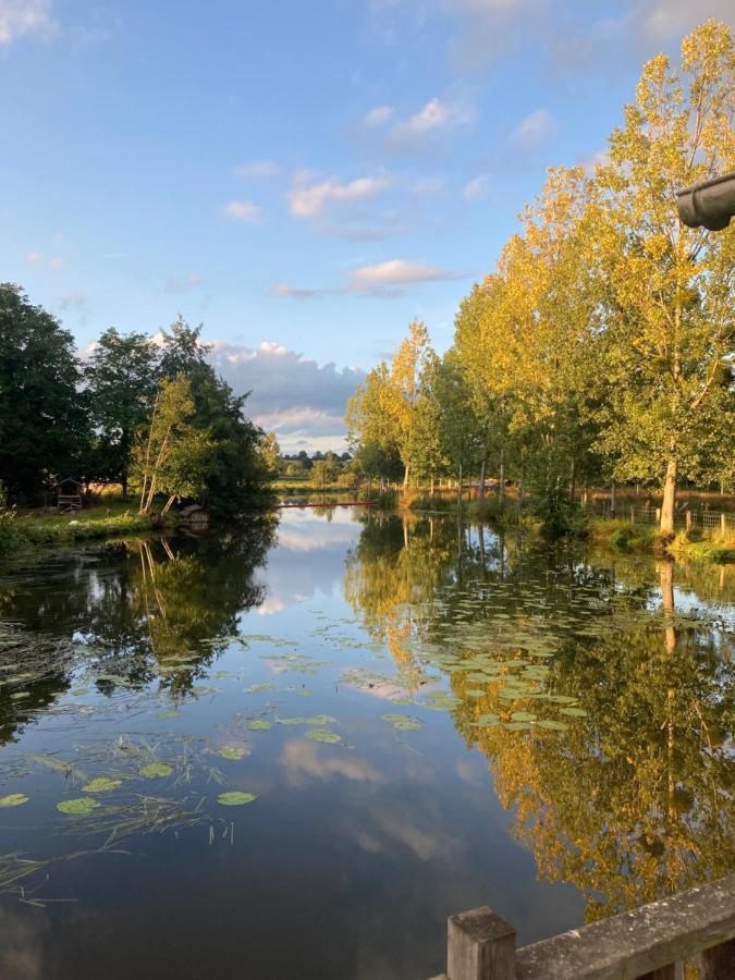 Le Moulin De Bretigneul Bed & Breakfast Saint-Aubin-des-Landes Екстериор снимка